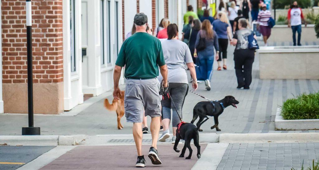 people walking dogs